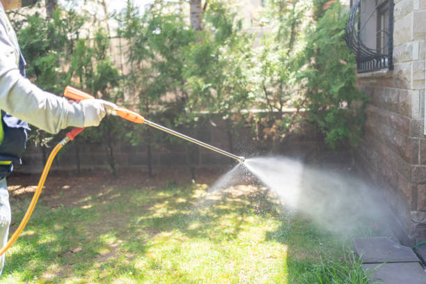 Lawn Pest Control in Fort Stewart, GA